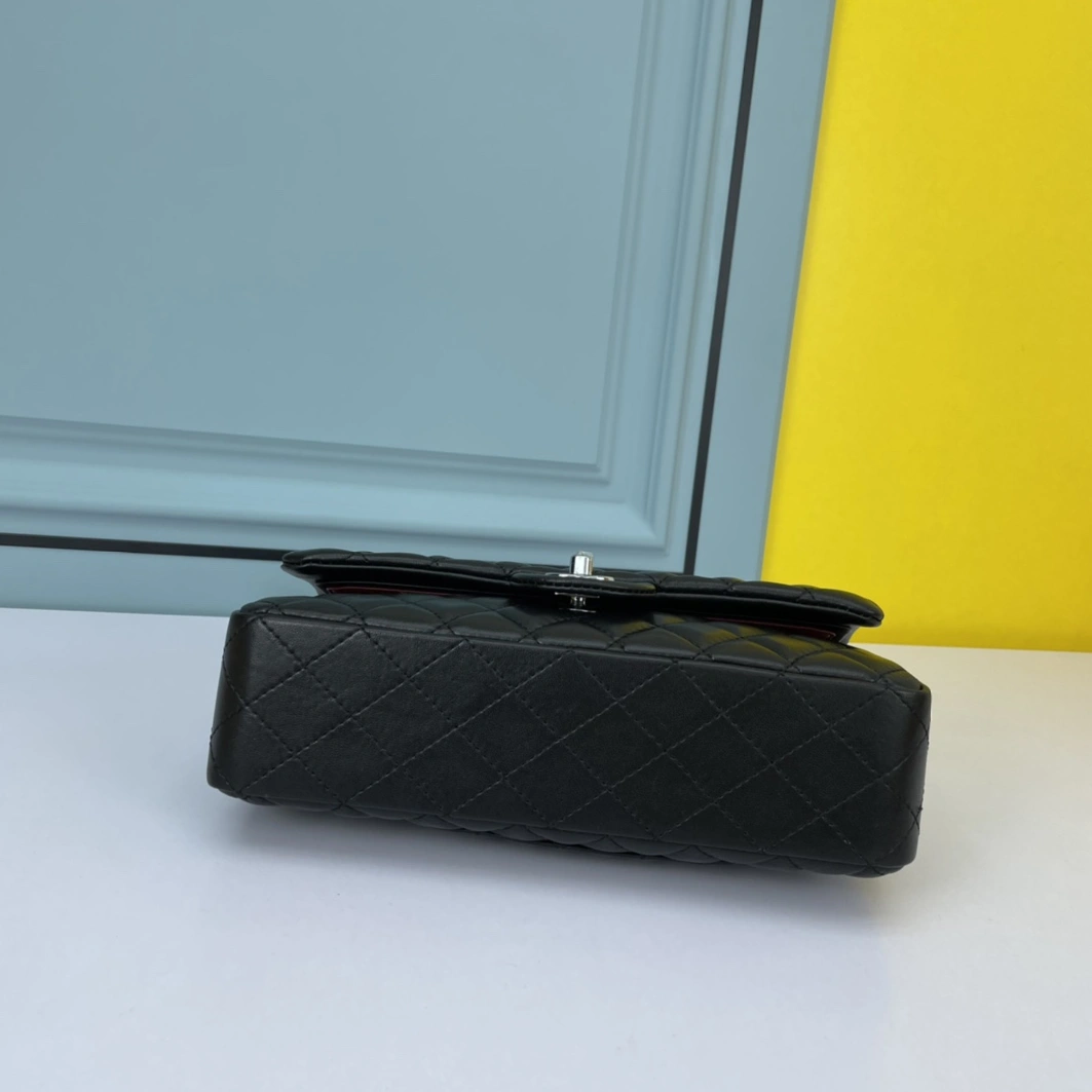 Chanel AAA Quality Shoulder Bags For Women DailyWear 4761 - Image 4