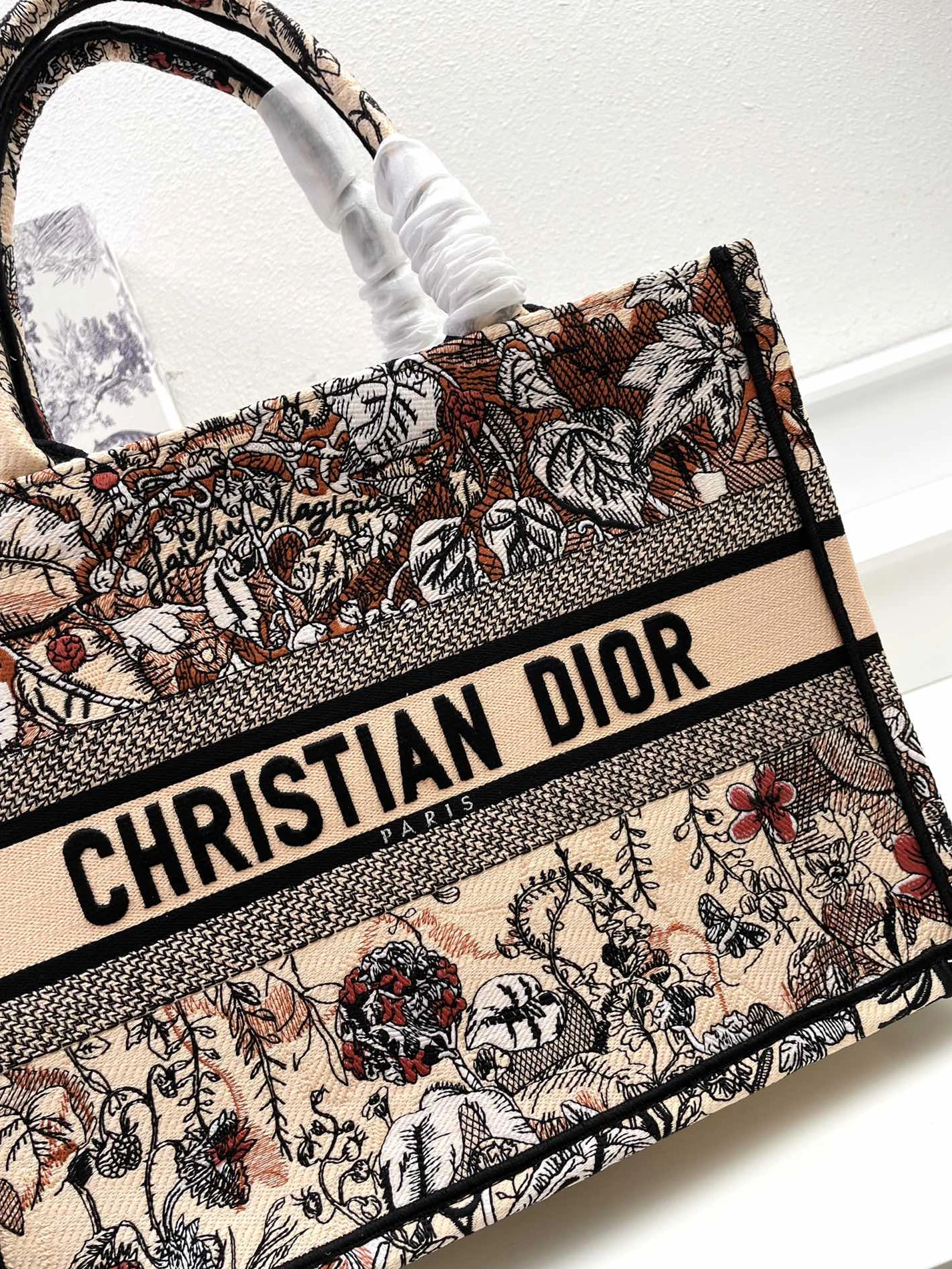 Christian Dior AAA Quality Tote-Handbags For Women EasyMatch 9697