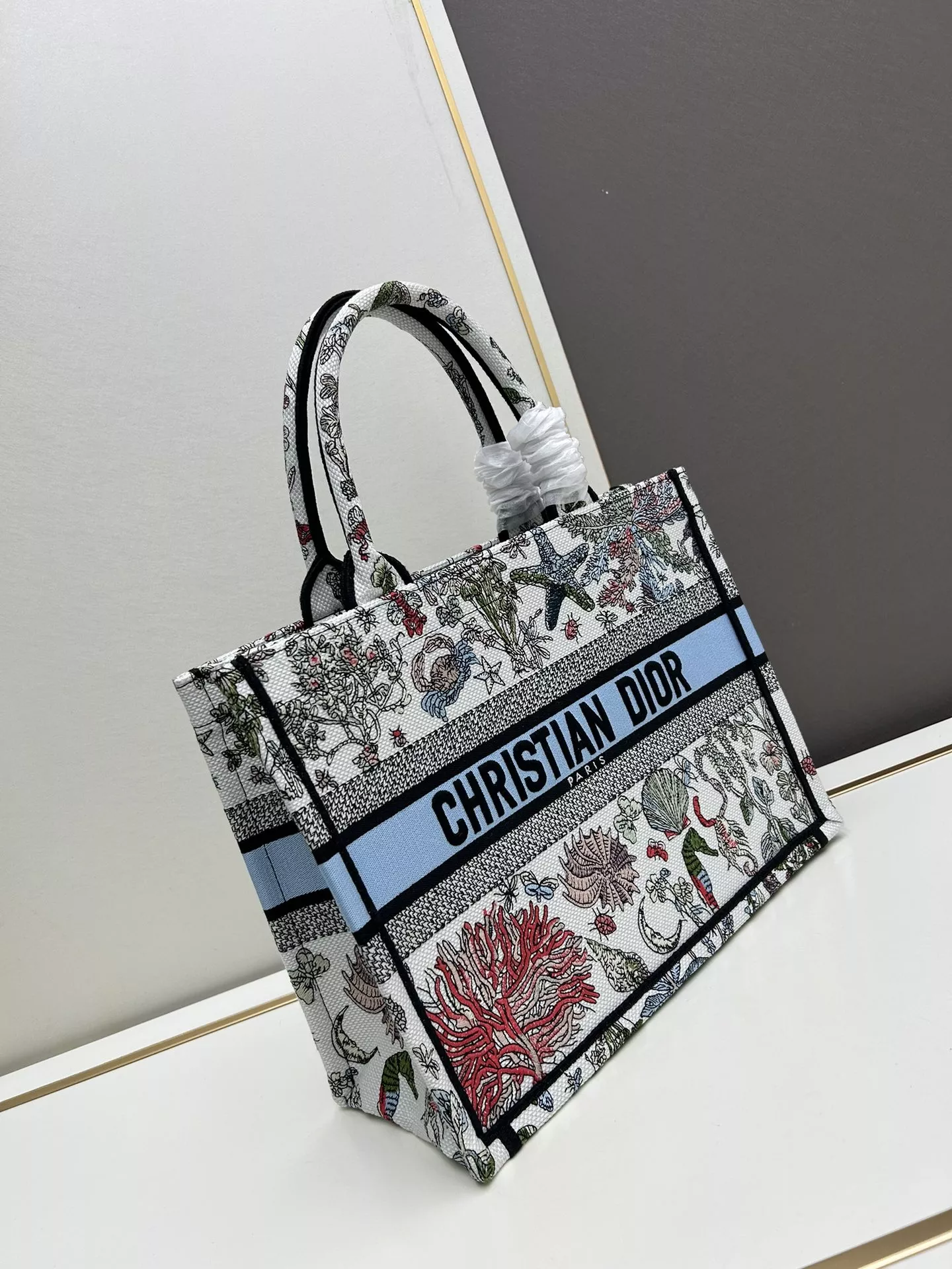 Christian Dior AAA Quality Tote-Handbags For Women Lightweight 6096