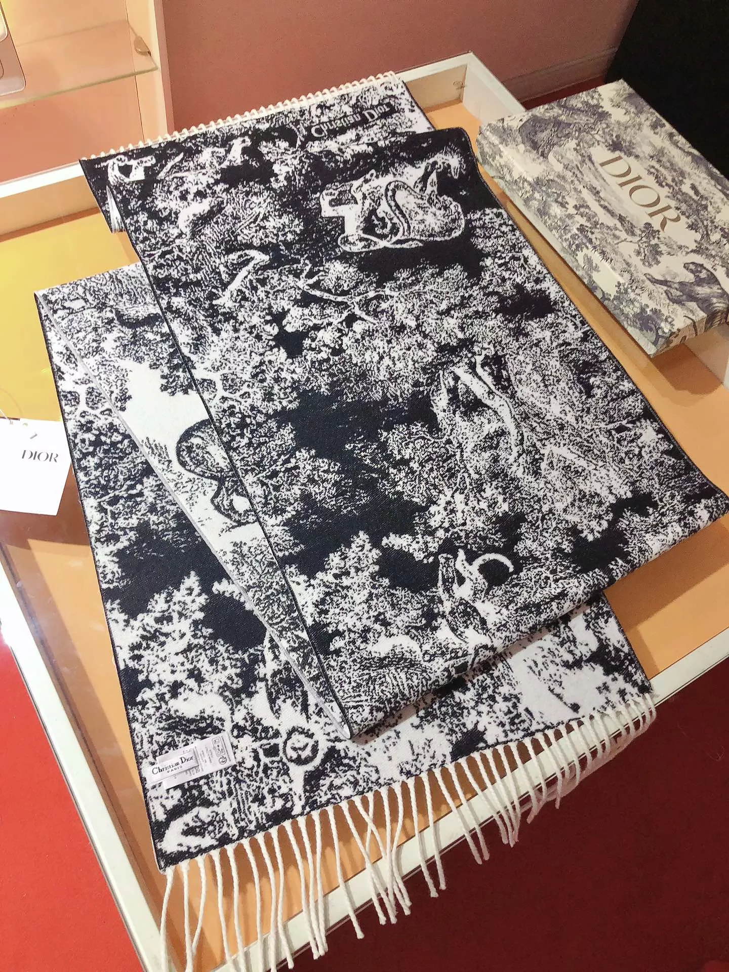 Christian Dior Scarf For Women Sophisticated 4974