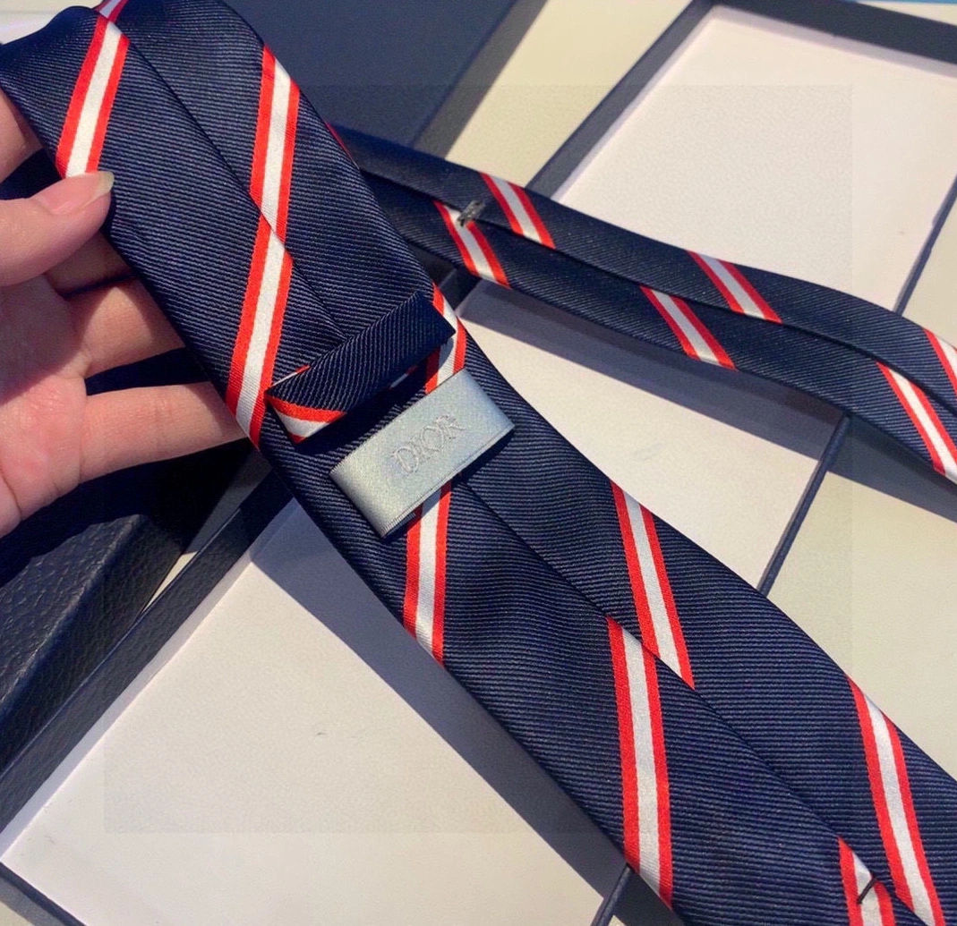 DailyWear 3181 Christian Dior Necktie For Men - Image 6