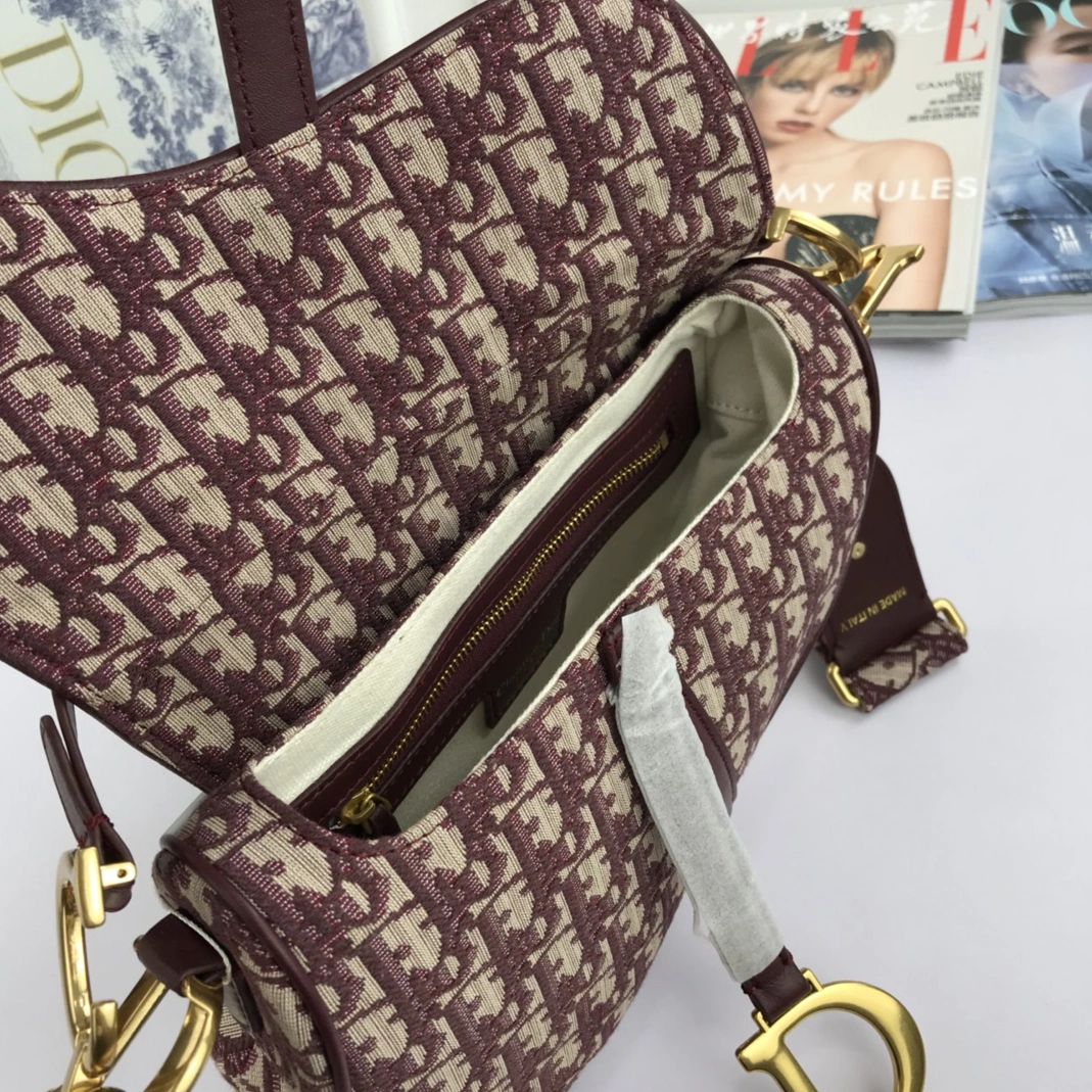 GoAnywhere 9549 Christian Dior AAA Quality Messenger Bags For Women - Image 7