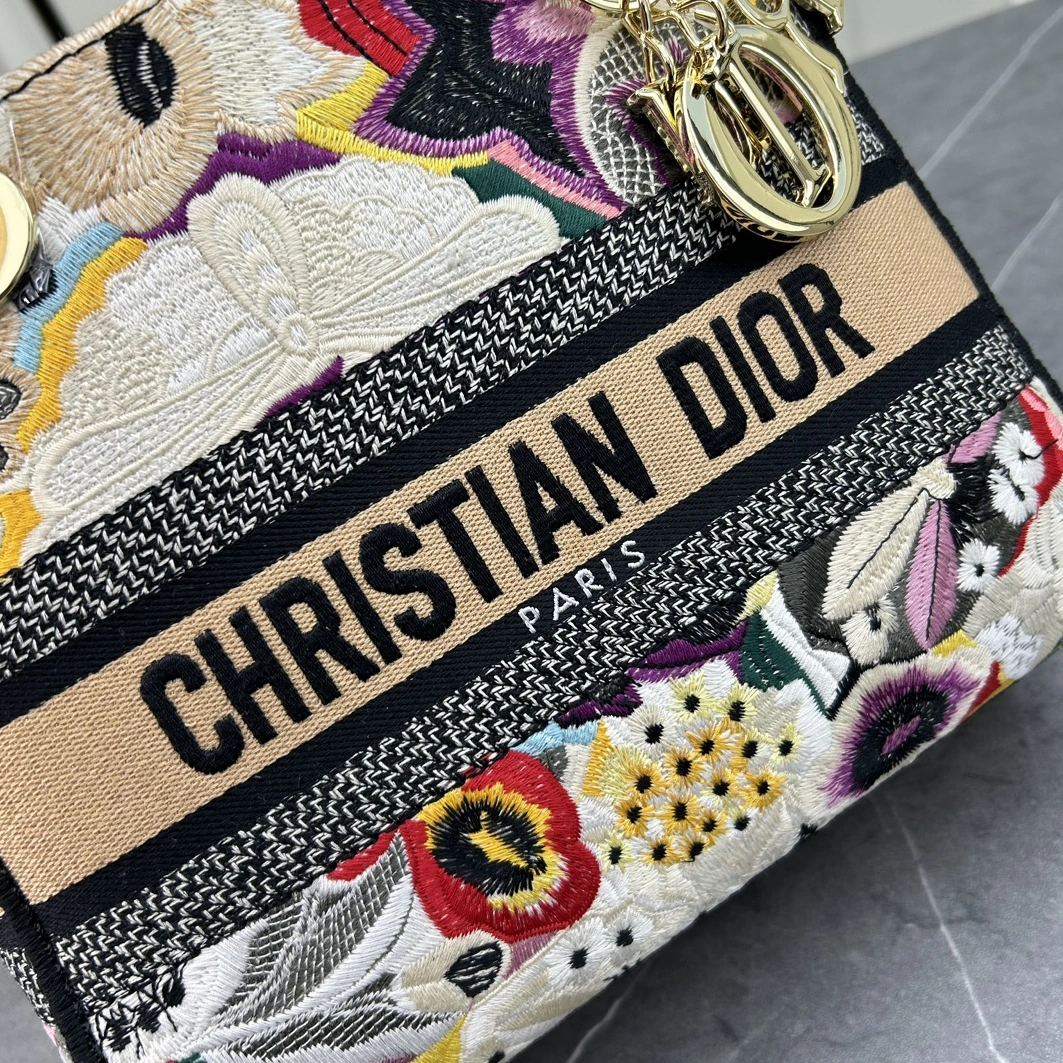 GoAnywhere 9925 Christian Dior AAA Quality Handbags For Women - Image 6