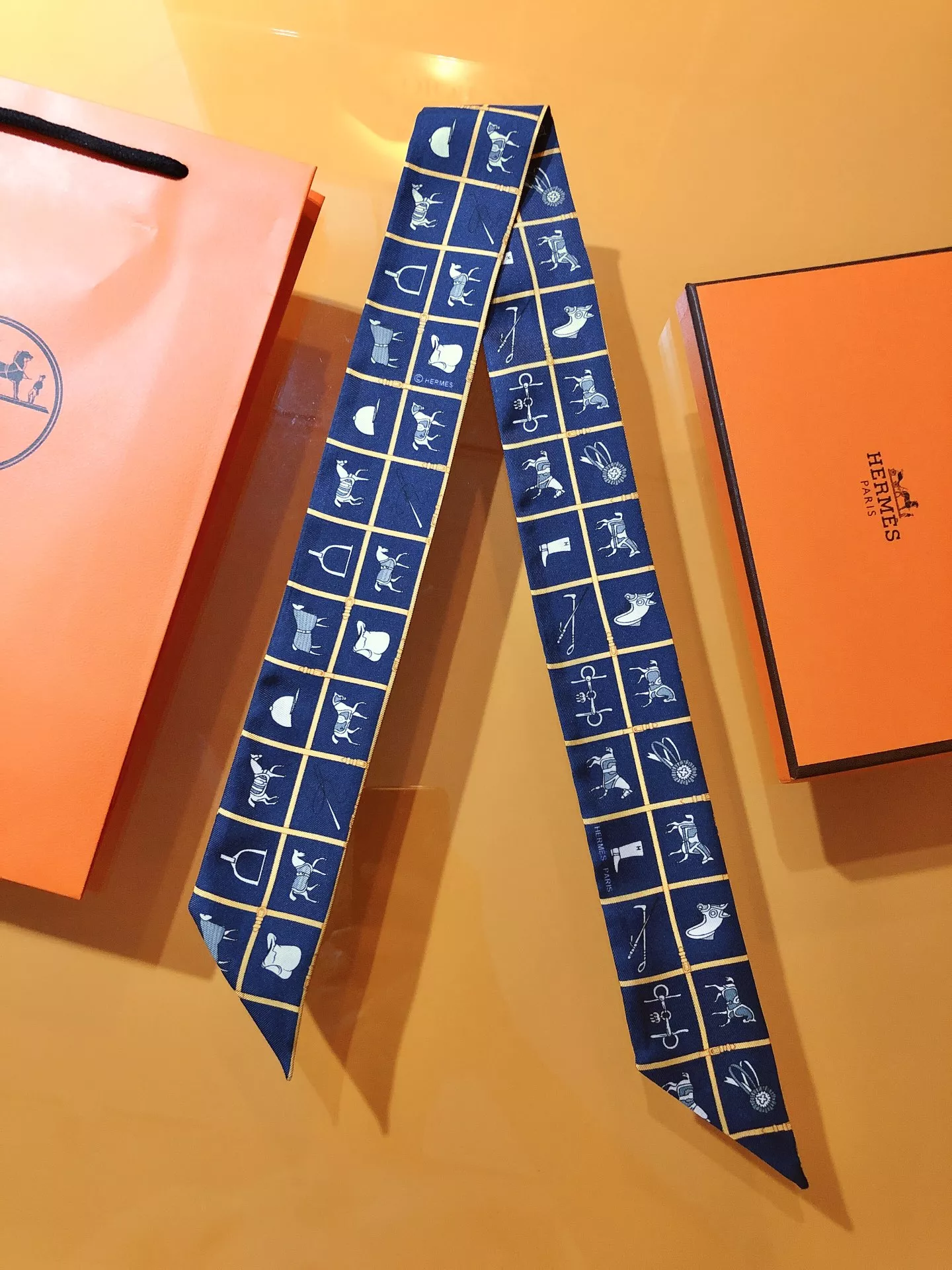 Hermes Silk Scarf Resilient 9569