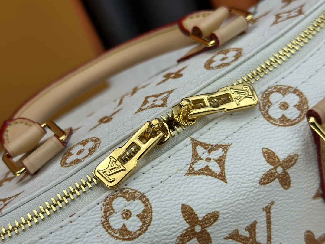 Louis Vuitton AAA Quality Handbags For Women EasyMatch 5184 - Image 6