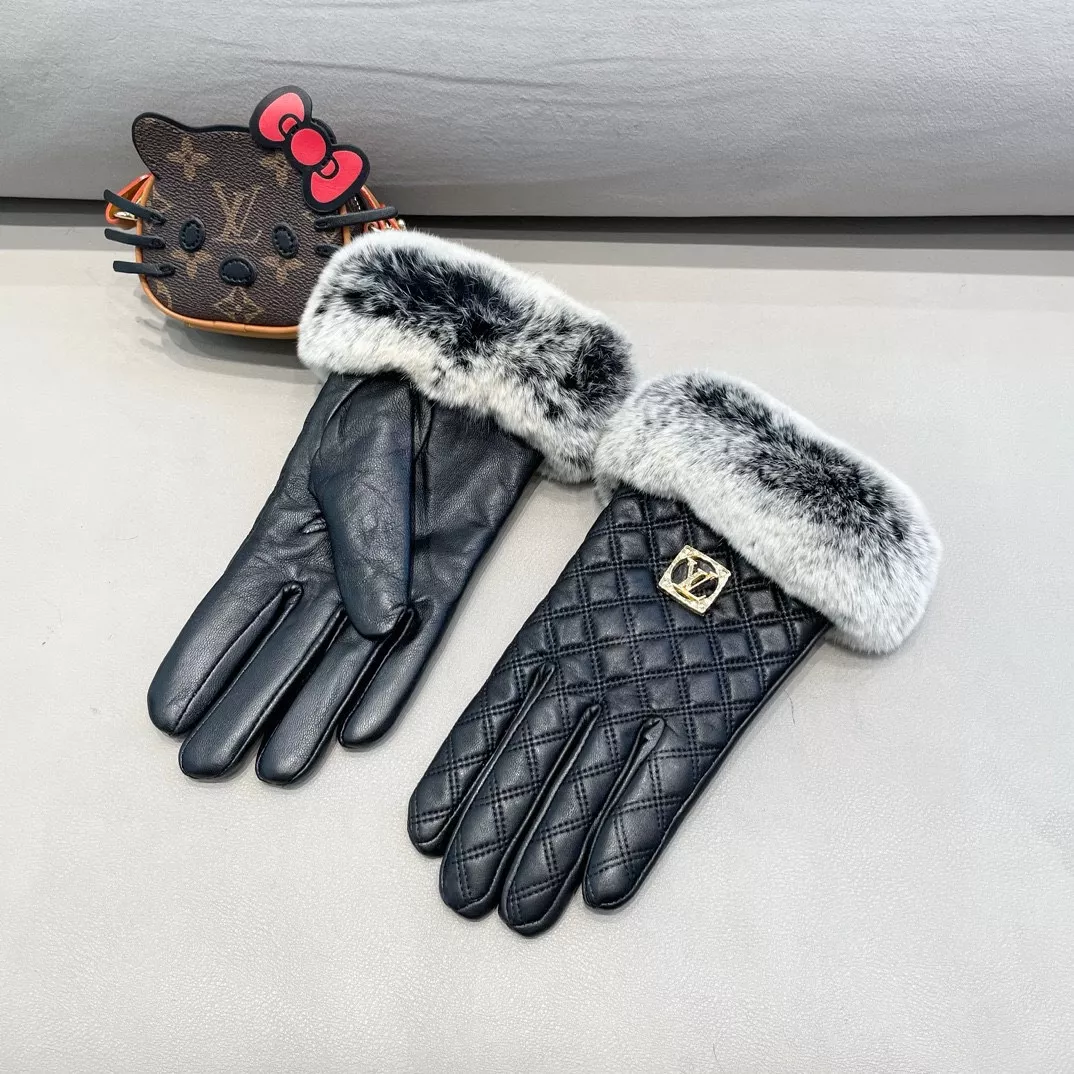 Louis Vuitton LV Gloves For Women Comfortable 6340