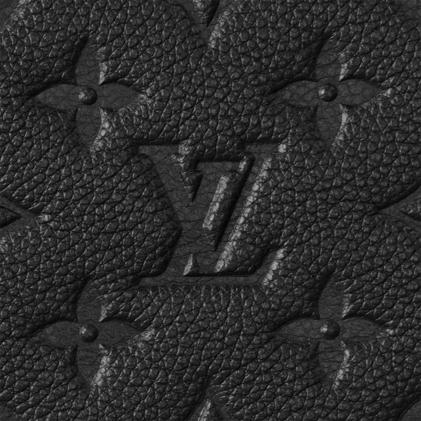 Louis Vuitton Monogram Empreinte Leather M62937 Daily Pouch - Image 4