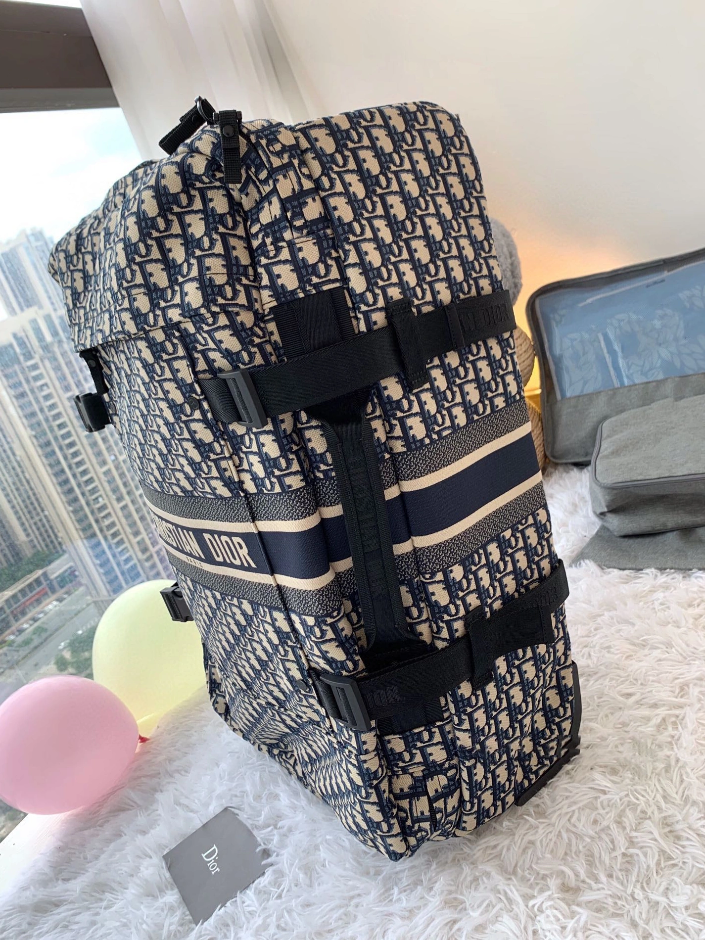 ModernLook 739 Christian Dior Luggage and Duffle