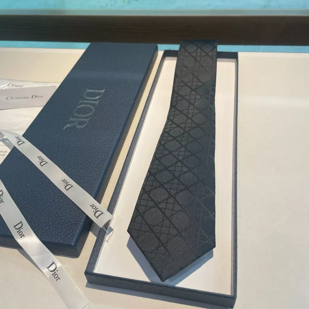 Practical 1987 Christian Dior Necktie