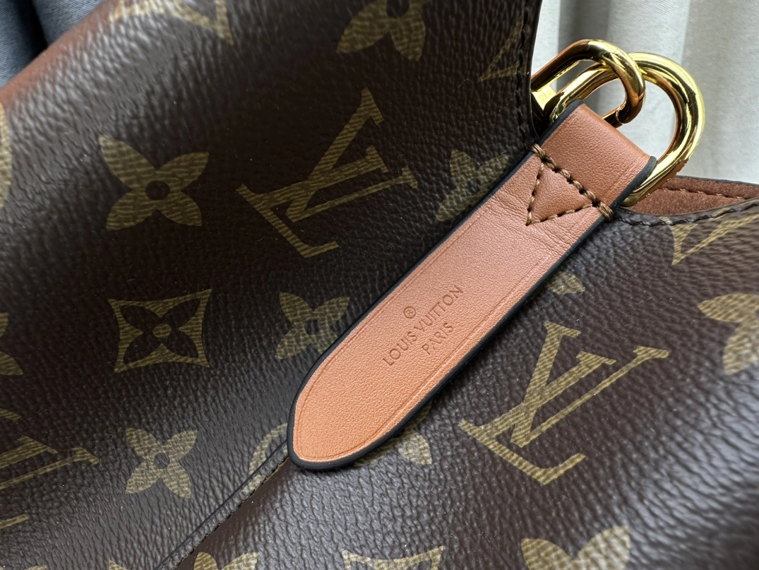 SmartChoice 8580 Louis Vuitton AAA Quality Messenger Bags For Women - Image 6