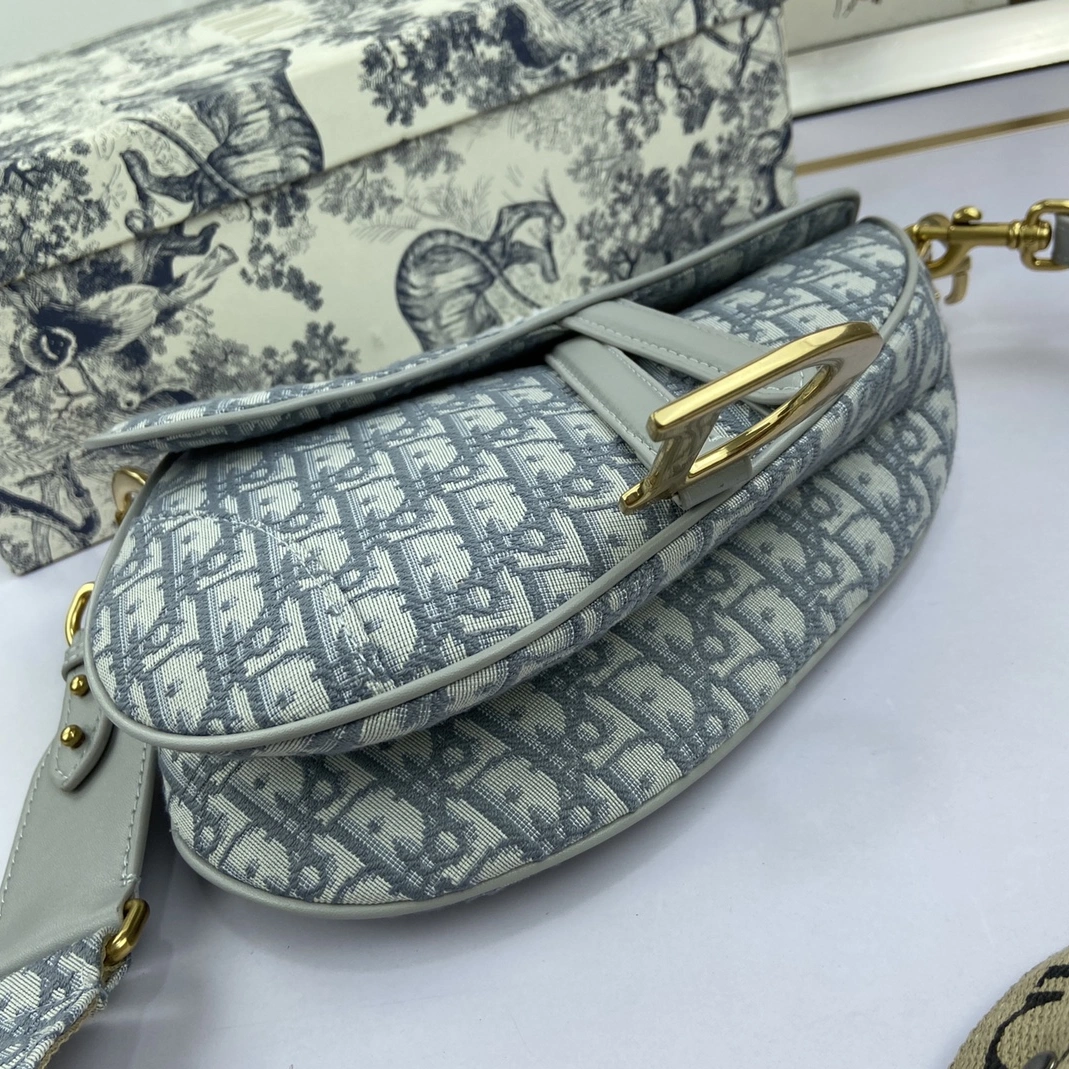 SportInspired 7042 Christian Dior AAA Quality Messenger Bags For Women - Image 5