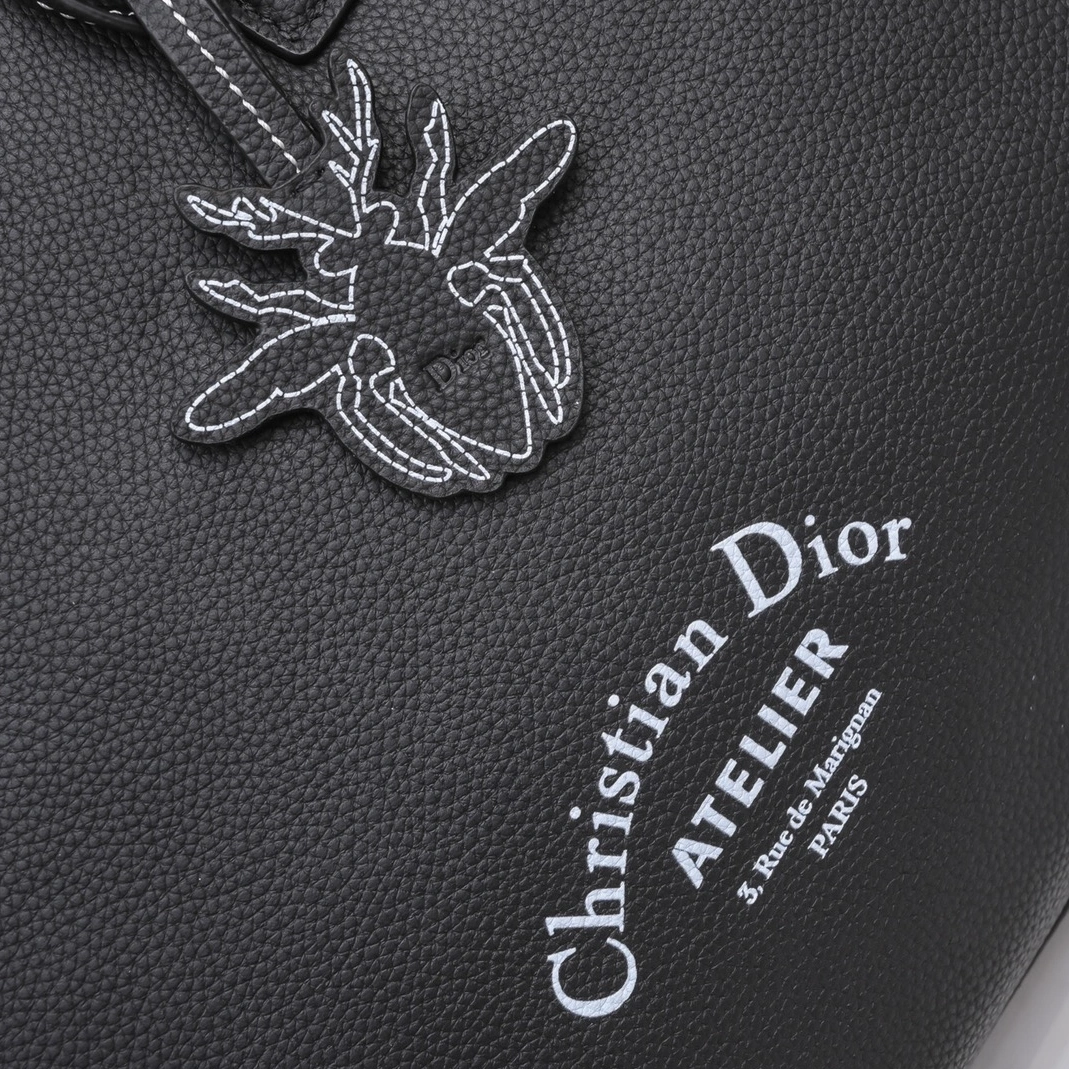 StreetReady 1021 Christian Dior AAA Man Handbags - Image 3