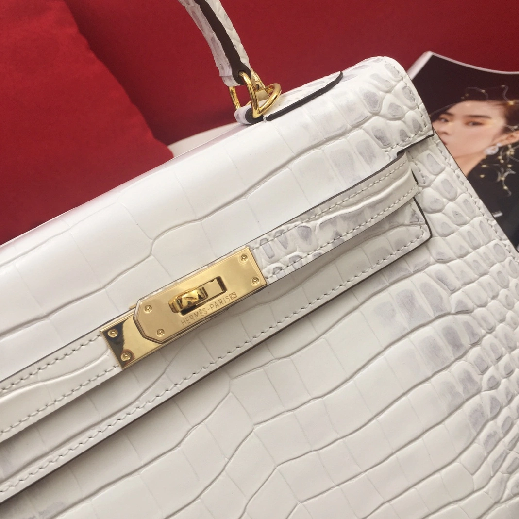 Trendsetting 1896 Hermes AAA Quality Handbags For Women - Image 3