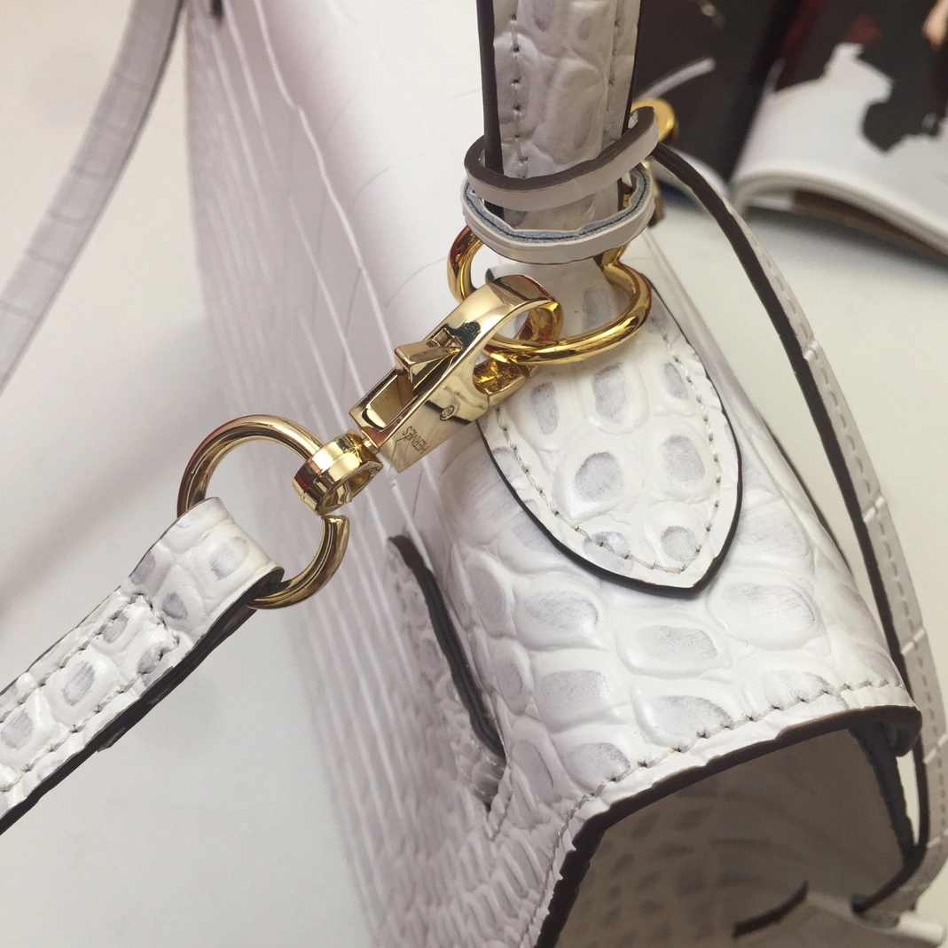 Trendsetting 1896 Hermes AAA Quality Handbags For Women - Image 4