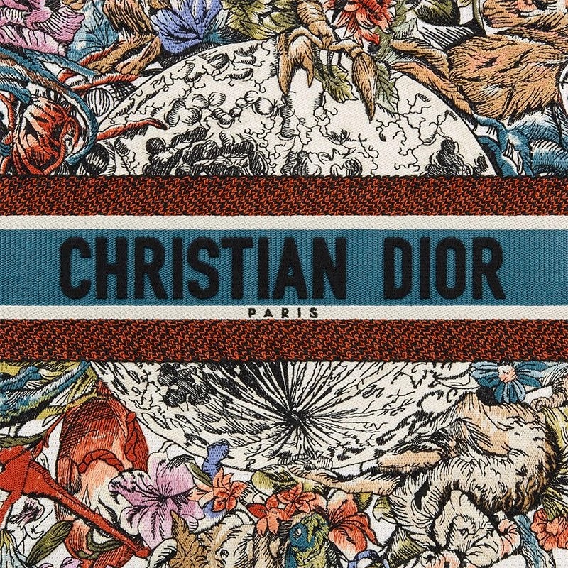 Dior Book Tote Constellation Motif Canvas White - Image 4