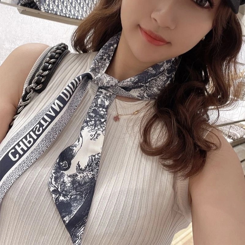 Dior Mitzah Twill Toile de Jouy Sauvage Motif Silk Navy Blue - Image 3