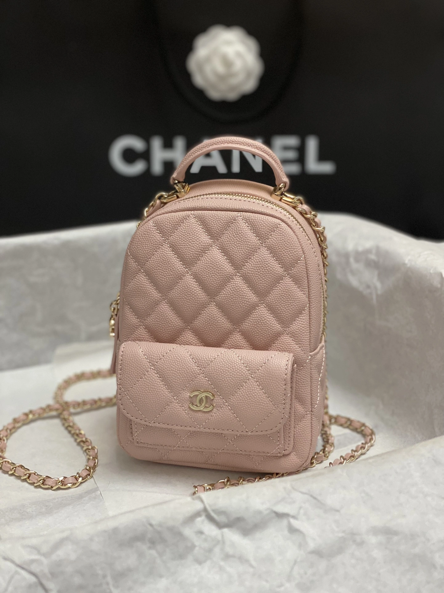 GoAnywhere CHANEL BACKPACK 120 - Image 4