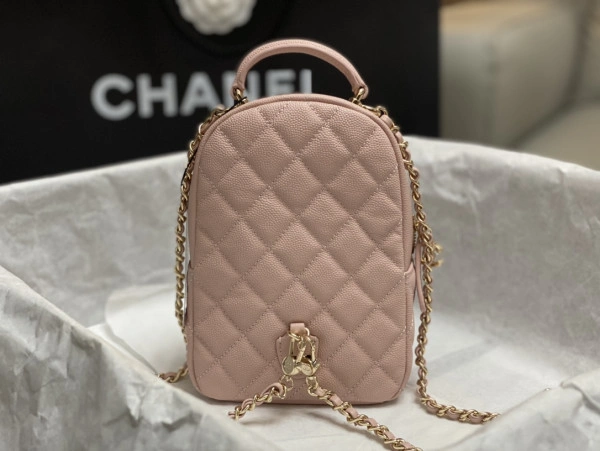 GoAnywhere CHANEL BACKPACK 120 - Image 3